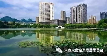 風(fēng)格迥異的六盤(pán)水橋梁,你走過(guò)幾個(gè)