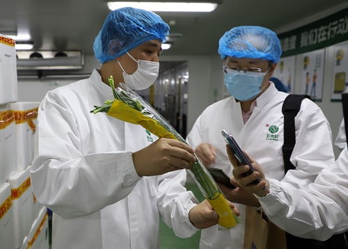 福建省市場監管媒體開放日走進永輝彩食鮮 中央工廠打造全鏈條食品安全