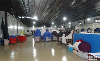 酒店洗衣房設(shè)備與管理的綜合指南 提升賓館運(yùn)營(yíng)效率與服務(wù)品質(zhì)