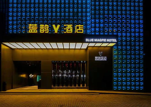 藍鵲酒店專項調研 協會精準定制發展良策